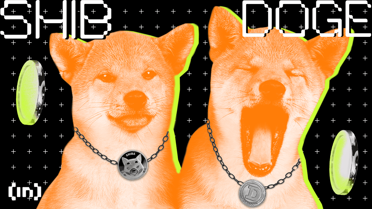 Dogecoin (DOGE) vs. Shiba Inu (SHIB): wat is het verschil?
