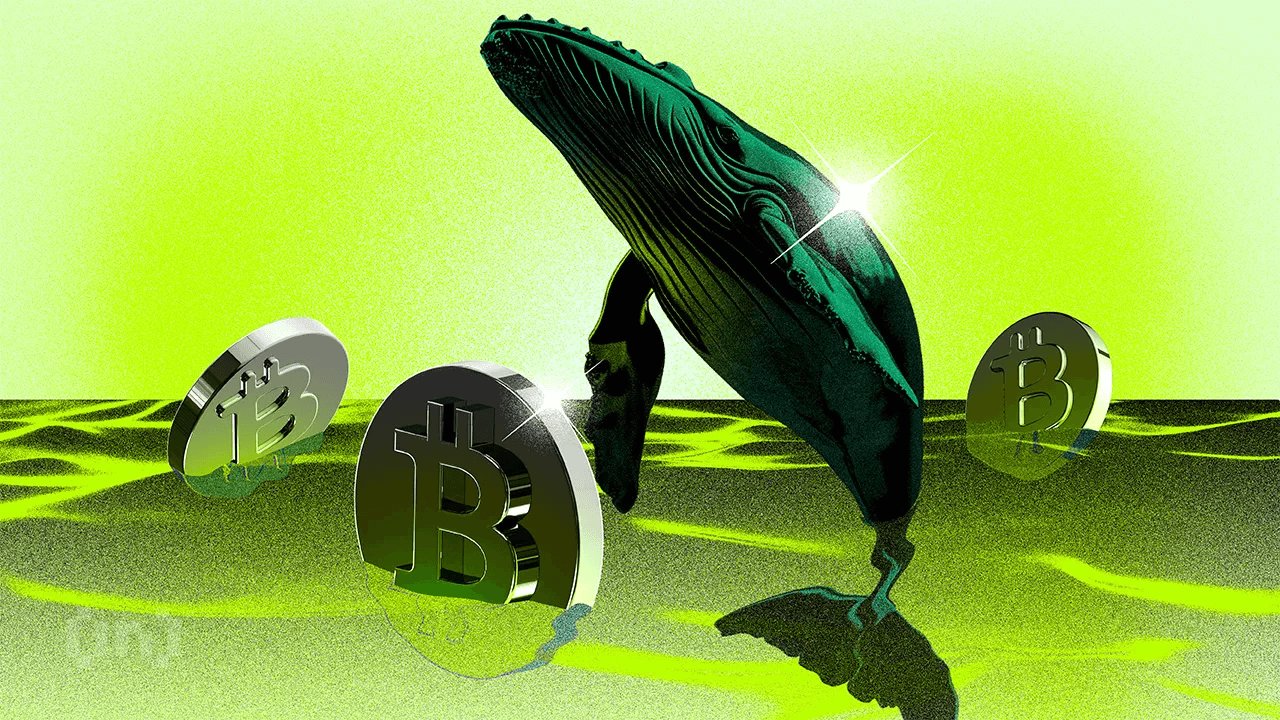 Bitcoin-whales brengen mogelijk een altcoin-seizoen op gang
