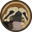 SlothCoin