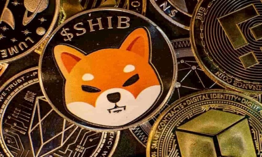 Shiba Inu walvis transfereert bijna $6 miljoen in SHIB naar een WalletSimple adres