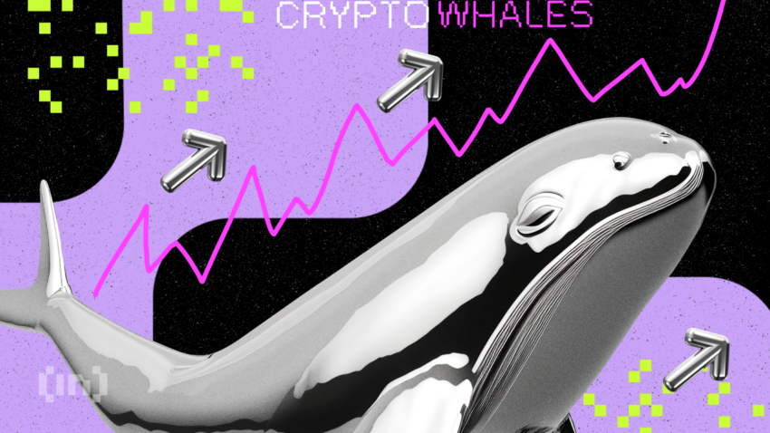 Dit is wat crypto whales kopen voor potentiële winsten in september 2024