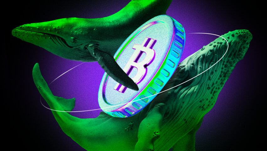 Dit is hoe de top 5 van Bitcoin (BTC) whales kopen