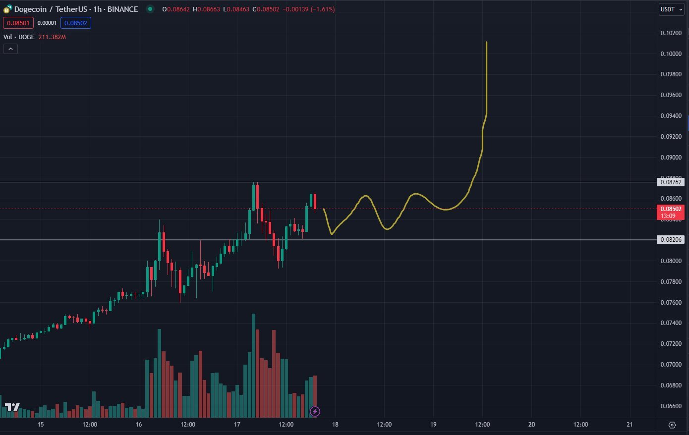 DOGE/USDT Hourly Chart.