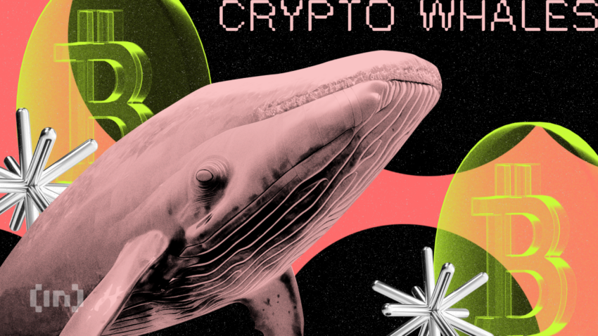 Investeerders kopen de dip, terwijl een whale $323 miljoen aan BTC verkoopt