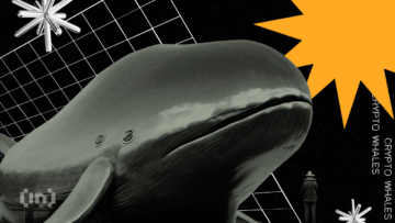 Crypto Whale koopt $185,5 miljoen in Ethereum (ETH): Impact op de koers