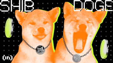 Dogecoin (DOGE) vs. Shiba Inu (SHIB): wat is het verschil?
