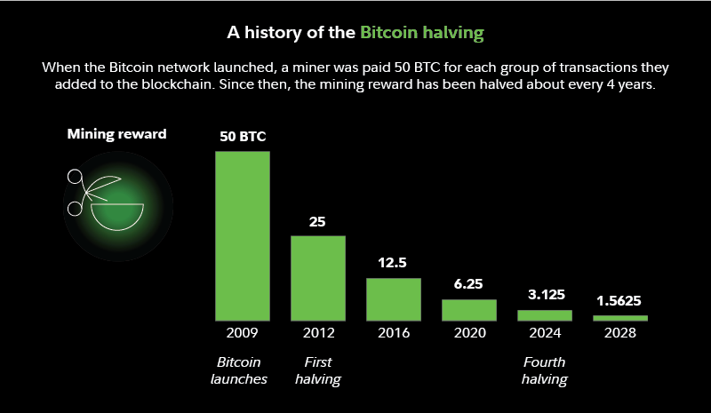 Geschiedenis van Bitcoin Halvings