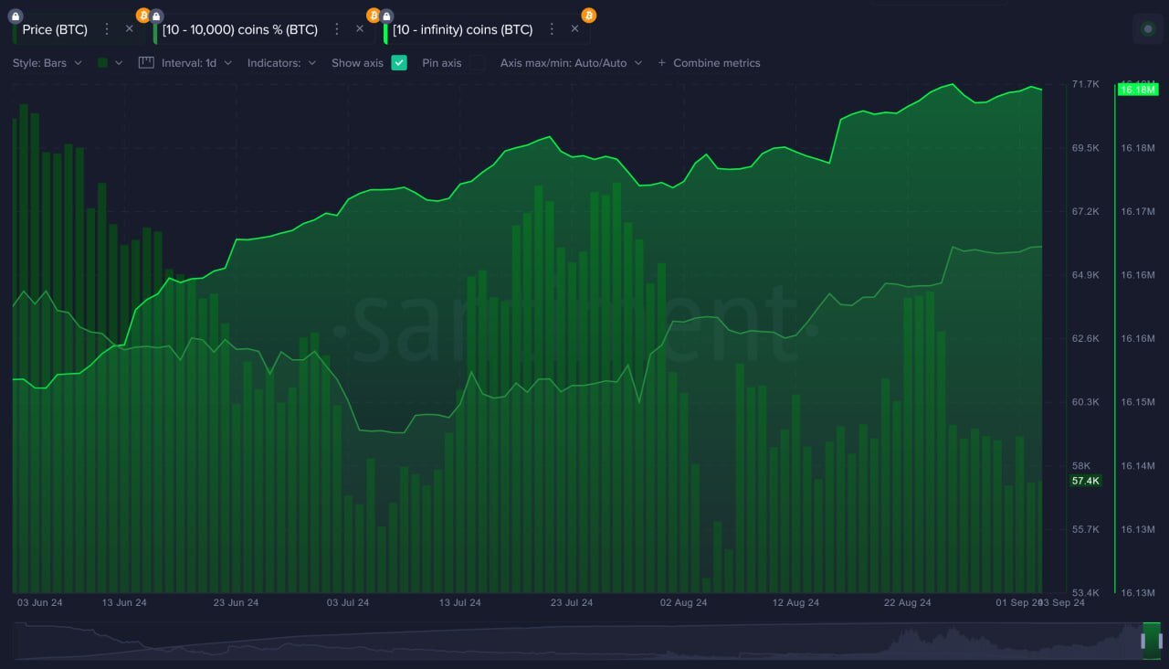 Bitcoin Whale Activiteit.