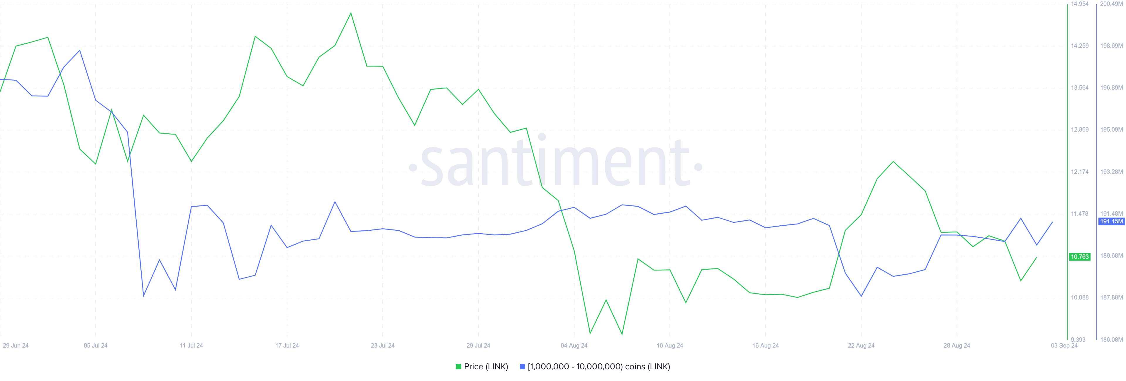 Chainlink Whale Holdings.