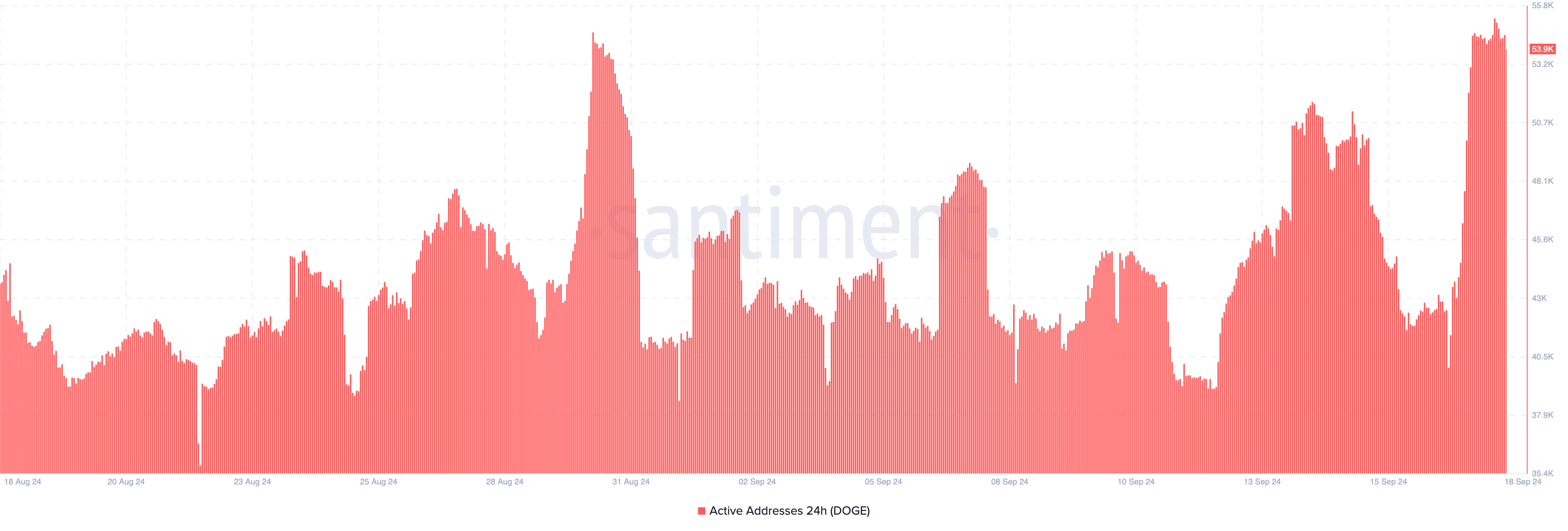 Actieve adressen van Dogecoin.