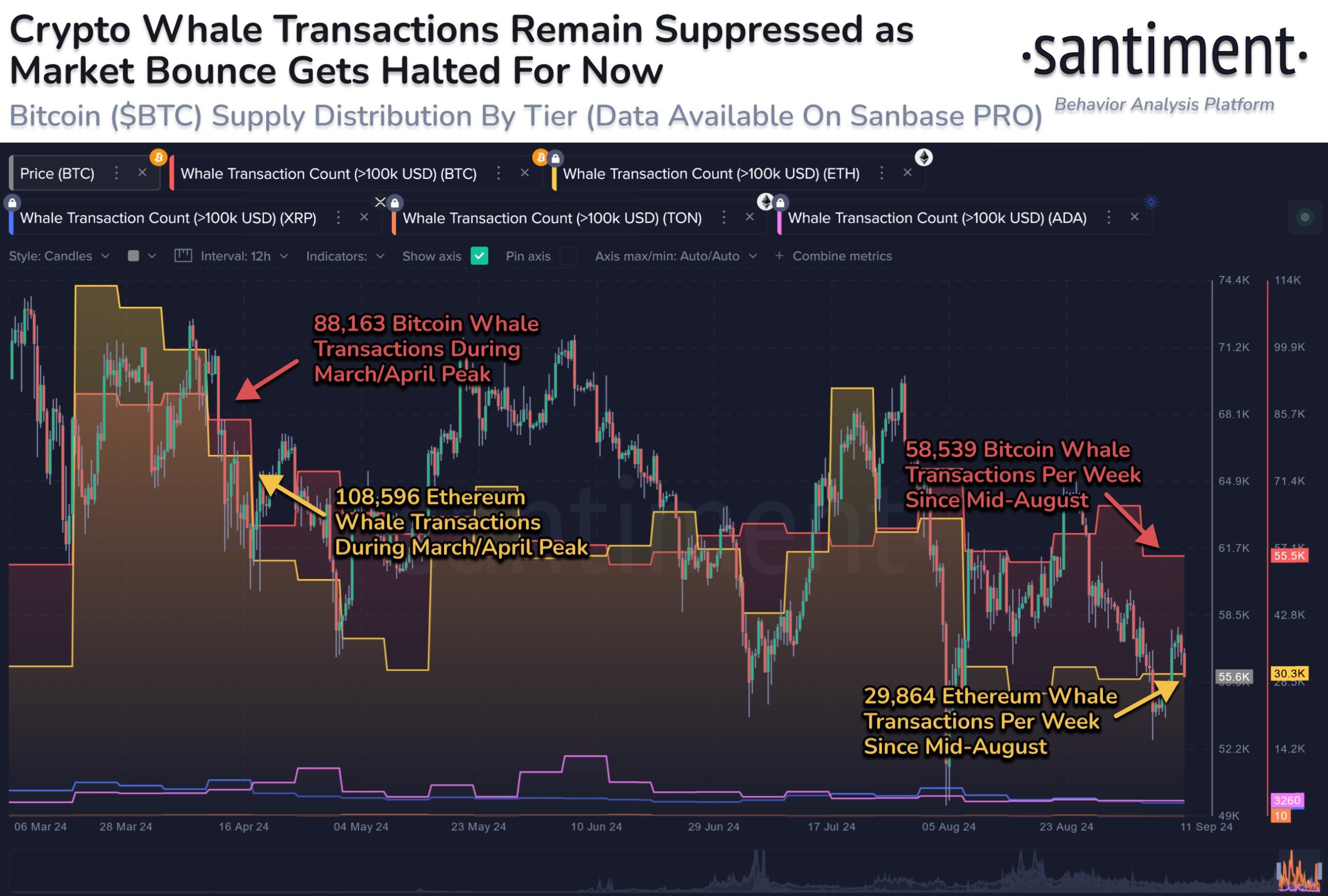 crypto whale transacties