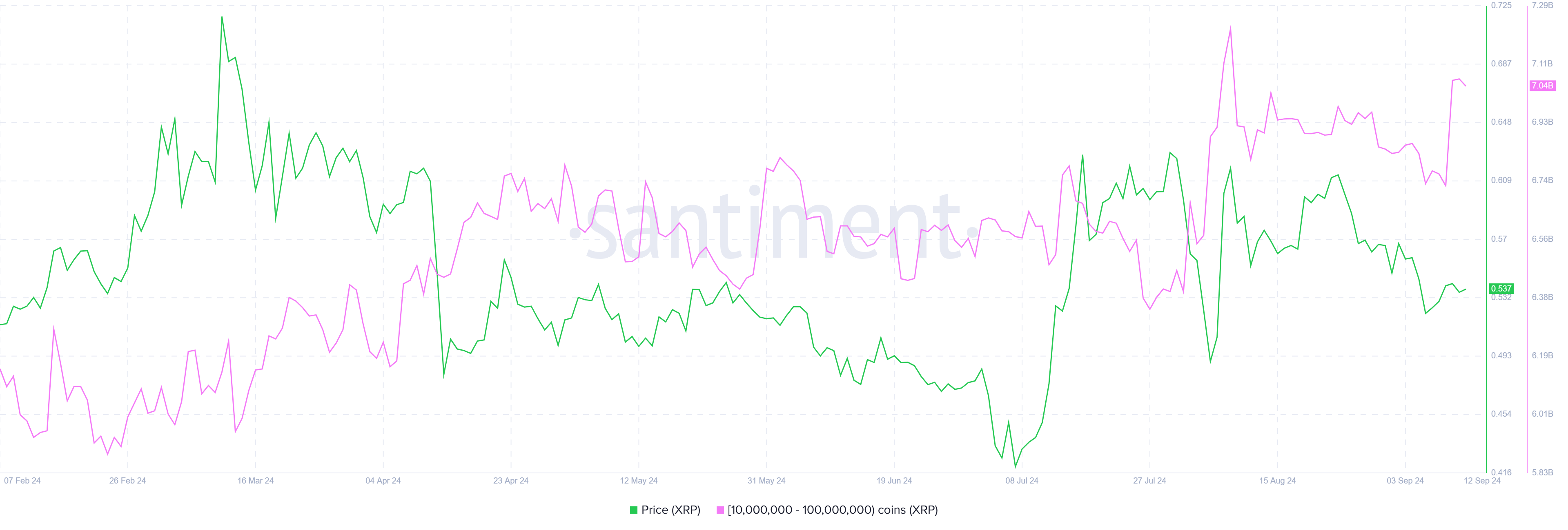 XRP Whale Accumulation.