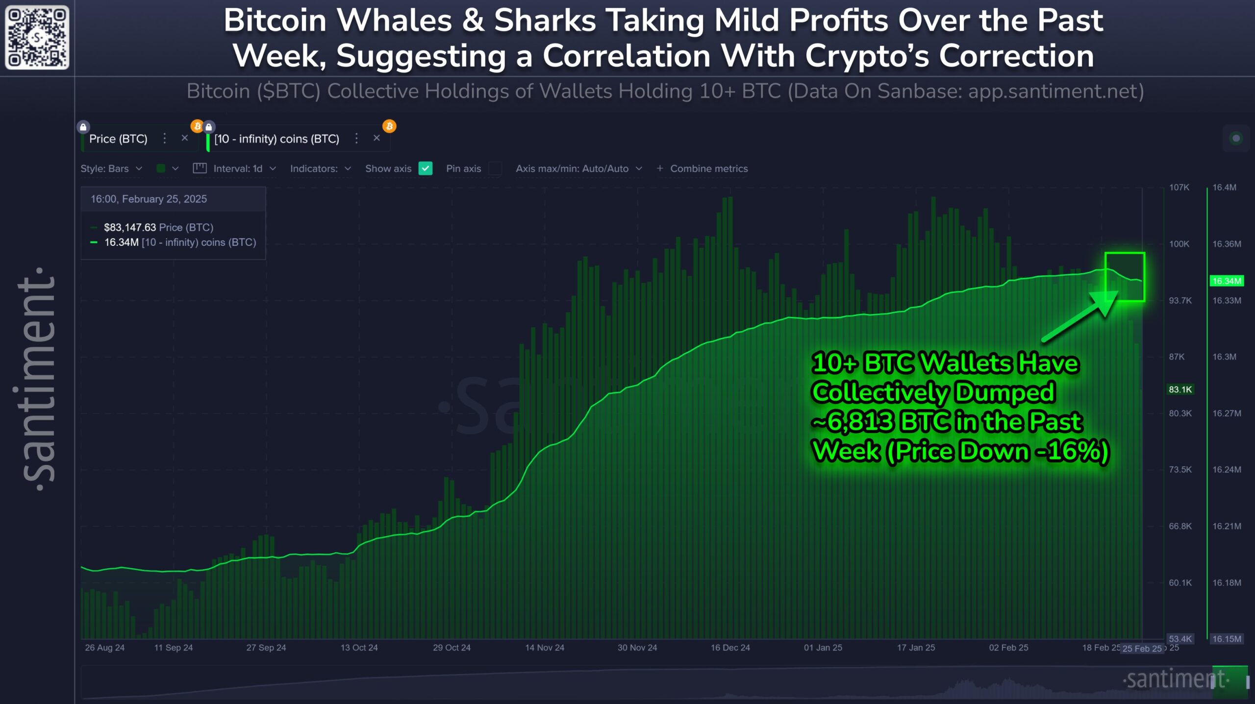 Bitcoin Sharks en Whales Holdings.