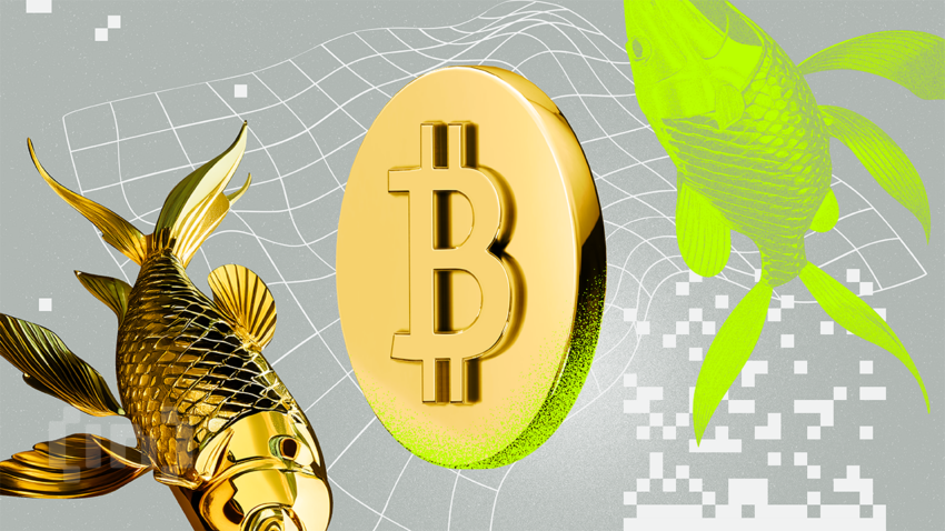 Analist: Bitcoin volgt goud-rally met 100-daagse vertraging door liquiditeitsstijging