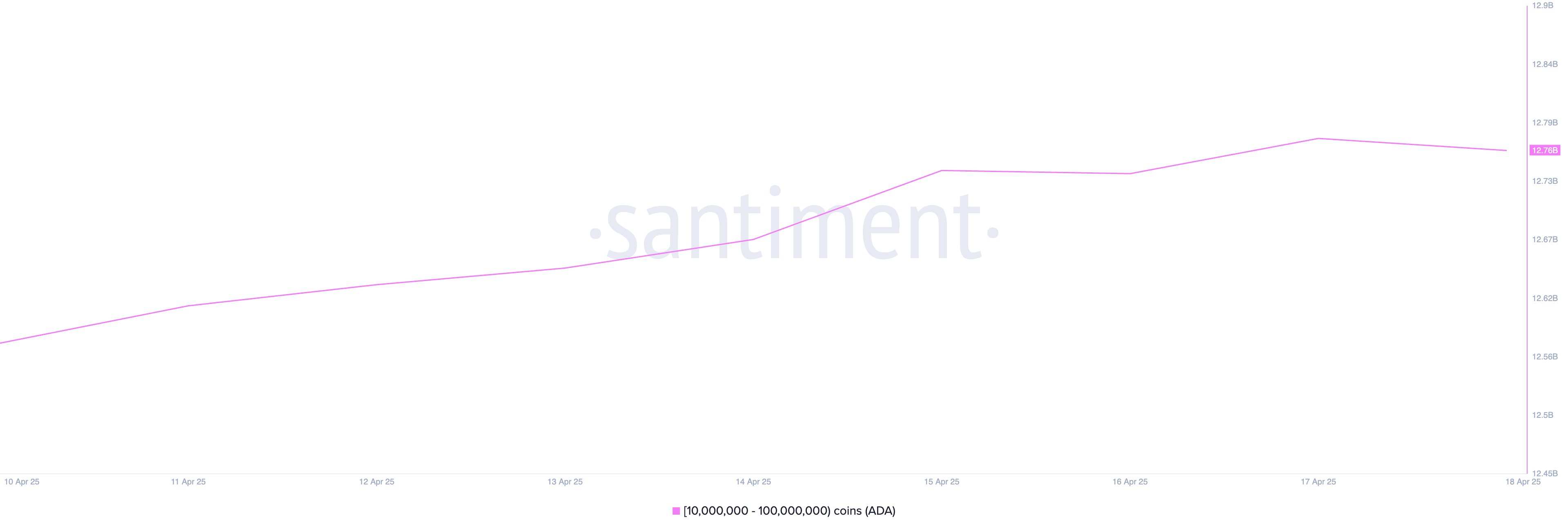 Cardano Whale Activity