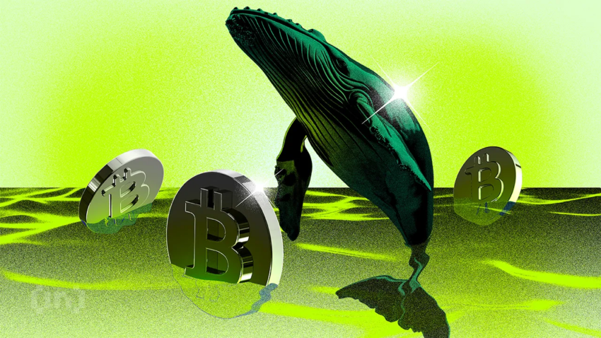 Nieuwe Bitcoin-whales bezitten nu meerderheid van BTC-kapitaal | wekelijkse whale watch