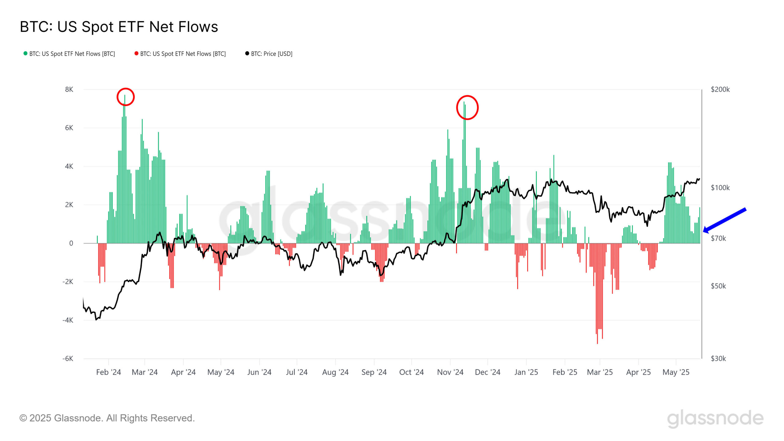 US Spot Bitcoin ETF Net Flows. Bron: Glassnode.