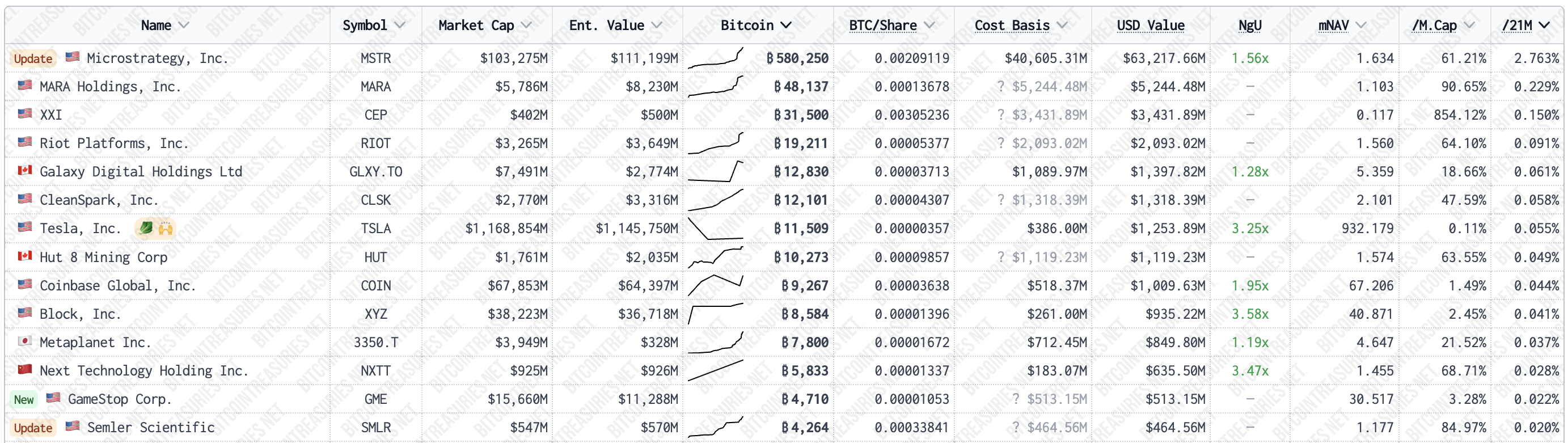 Grootste Bitcoin houders