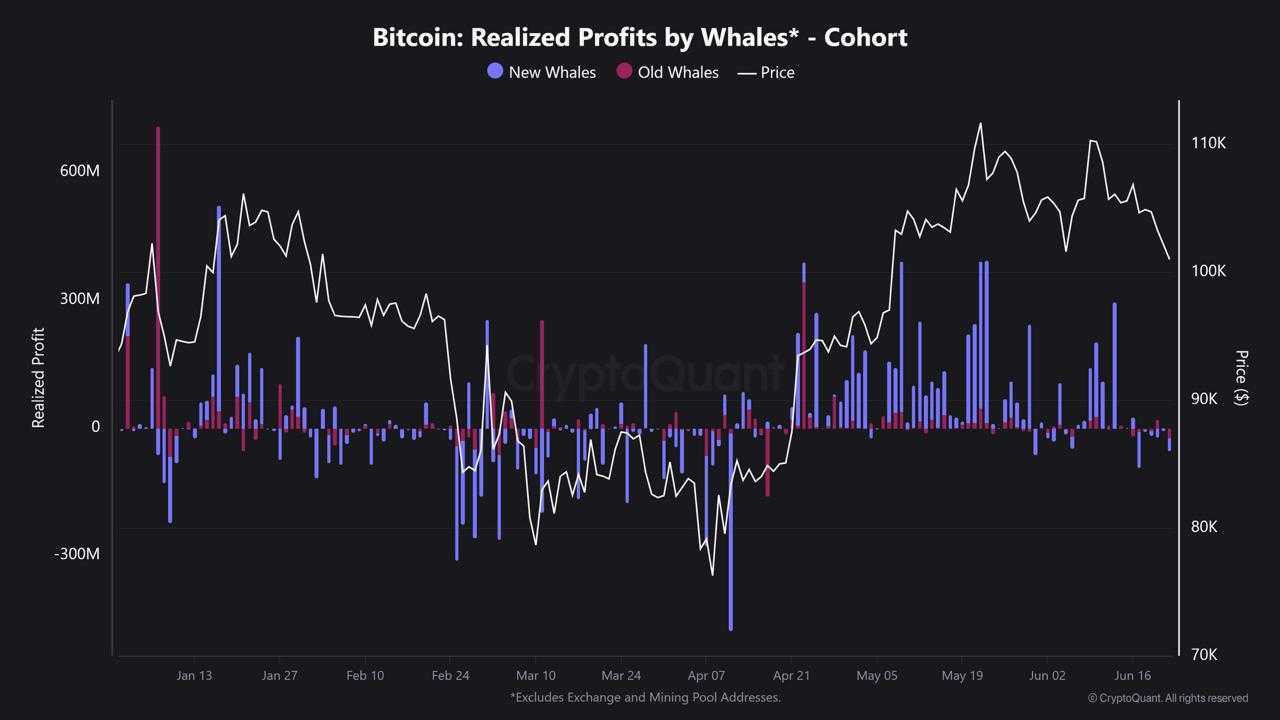 Bitcoin-whales gerealiseerde winsten