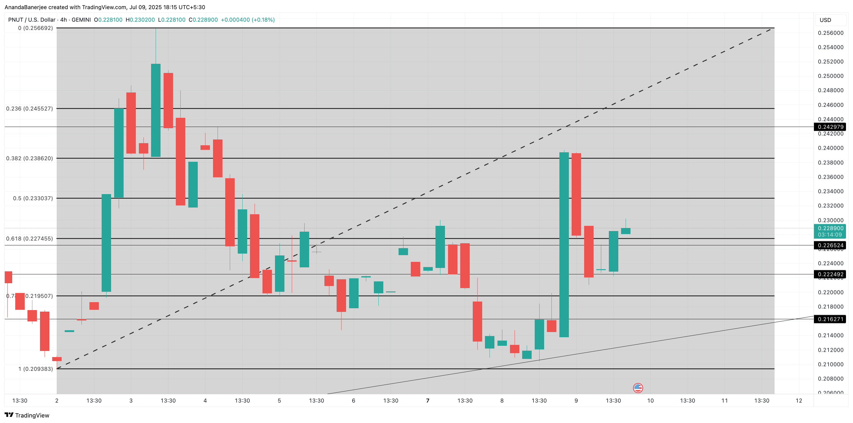 PNUT koers analyse: TradingView