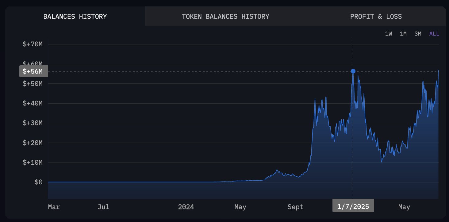 Murad's Totale Meme Coin Portfolio Waarde. Bron: Arkham