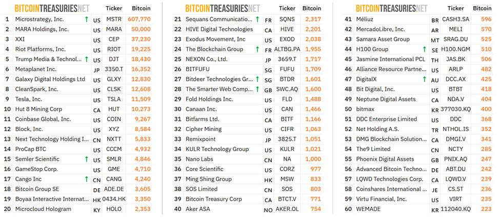 Top publieke bedrijven die BTC bezitten