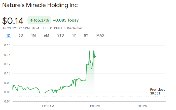Nature's Miracle aandelenkoers grafiek. Bron: Google Finance