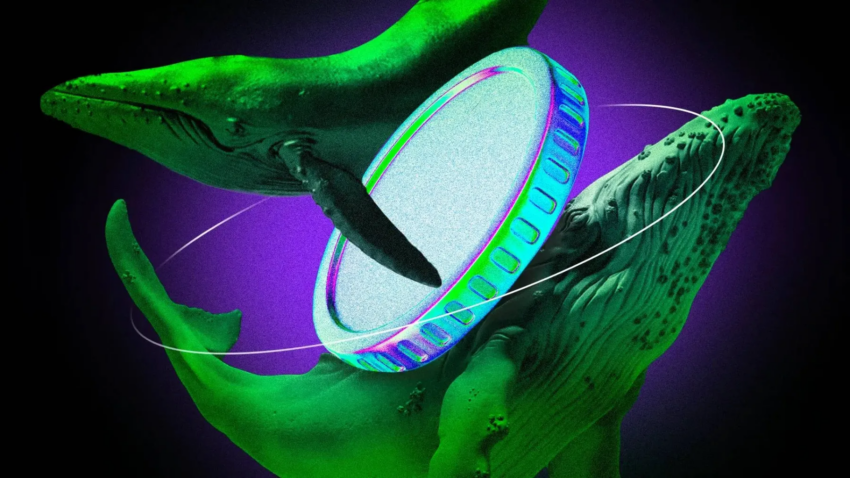 3 altcoins die crypto-whales kochten in de eerste week van augustus 2025