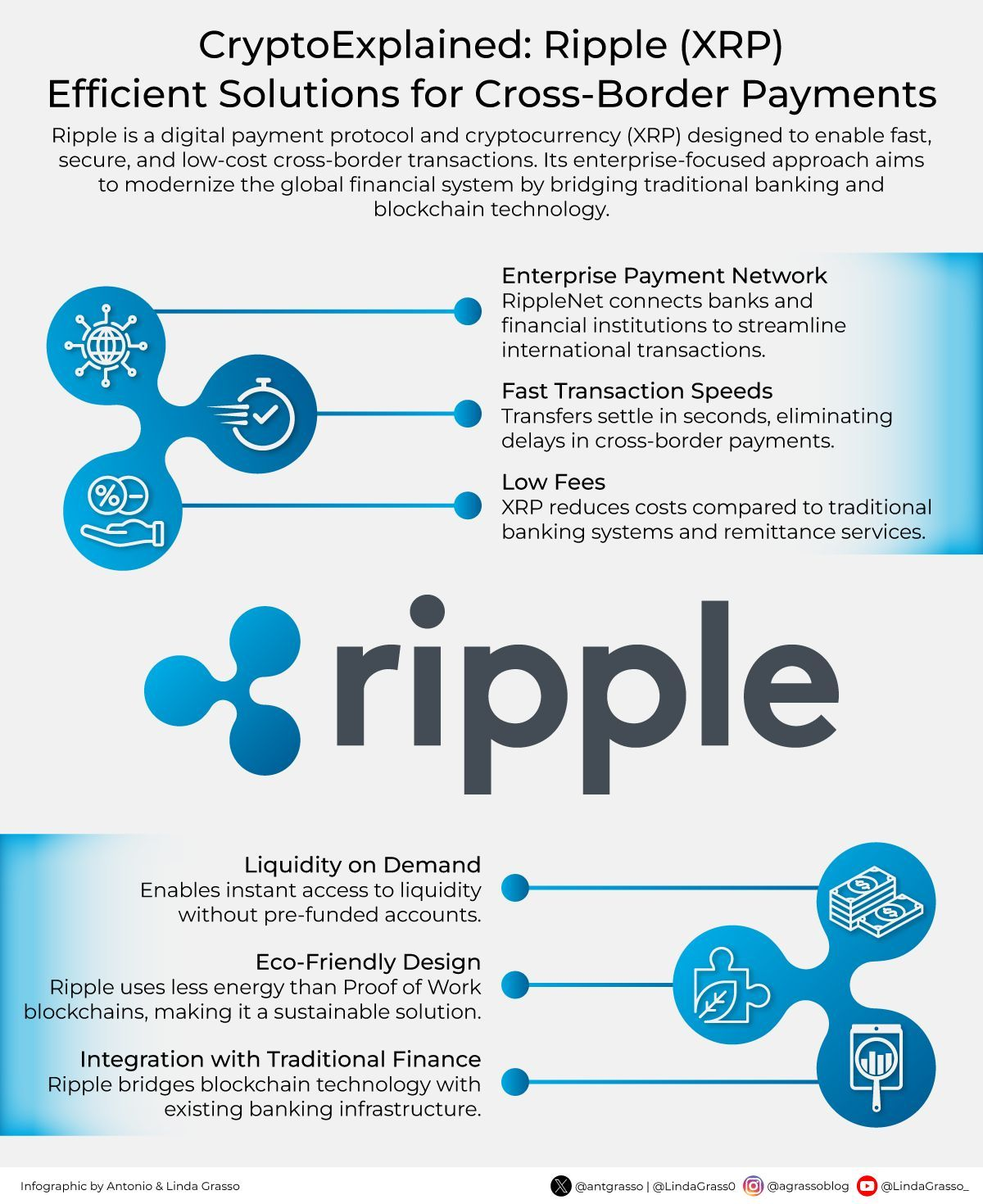 ripple ecosysteem uitgelegd
