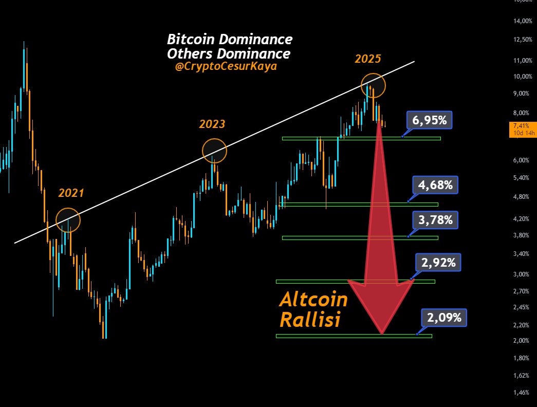 Bitcoin Dominantie Verwachting